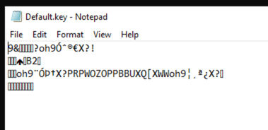 Keylog file encrypted